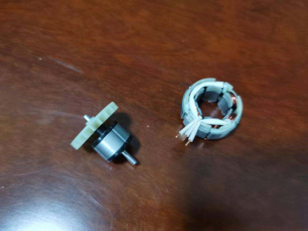 ‌Trends in the Inner Rotor Brushless Motor Niche Market‌