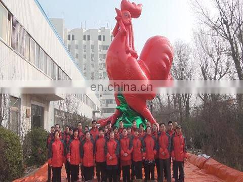 Yantai Daming Inflatable Co., Ltd. company overview - view 1