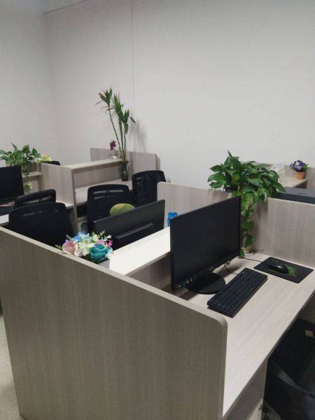 Guangdong Shengyuan Craft And Technology Co.ltd company overview - view 1