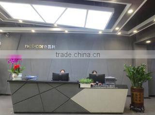 Shenzhen Netcore Industrial Ltd. company overview - view 1