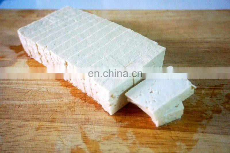 CE soya tofu production line for factory use