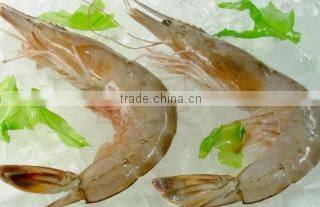 Zhoushan Haohai Aquatic Products Co., Ltd. company overview - view 1