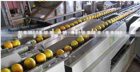 potato sorting machine / fruit sorting machine / vegetable grading machine