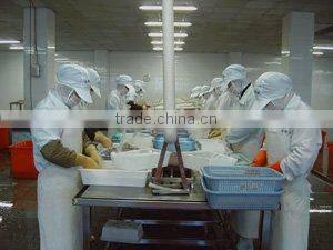 Shishi Zhengyuan Aquatic Product Science & Technology Development Co., Ltd. company overview - view 3