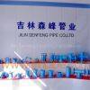 Jilin Senfeng Pipe Co., Ltd. company overview - view 1