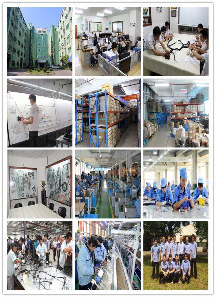 CWH Auto Harness Co.,LTD company overview - view 3