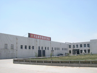 Hebei Diamond Cashmere Products Co., Ltd. company overview - view 2