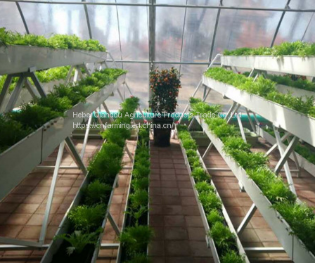 微信图片_20180104150353