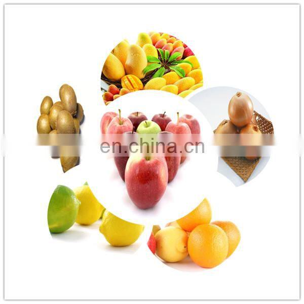 high productivity fruit nuclear gravity selector stoning machine