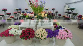 Tianjin Super Star Technology Development Co., Ltd. company overview - view 1