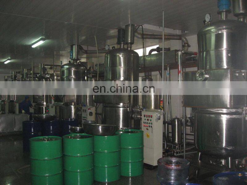 Complete pumpkin chips processing plant