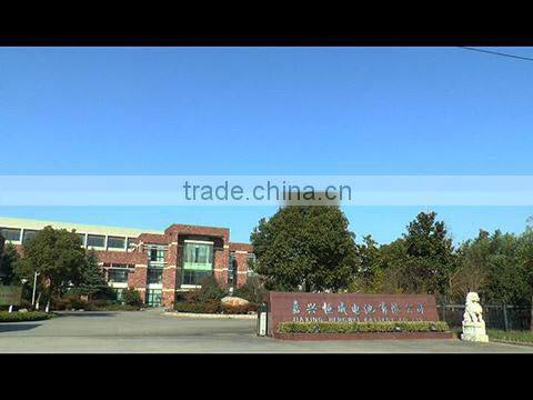 Jiaxing Hengwei Battery Co., Ltd. company overview - view 1