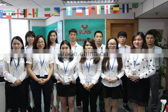 Guangdong Vlais Industrial Co., Ltd. company overview - view 3
