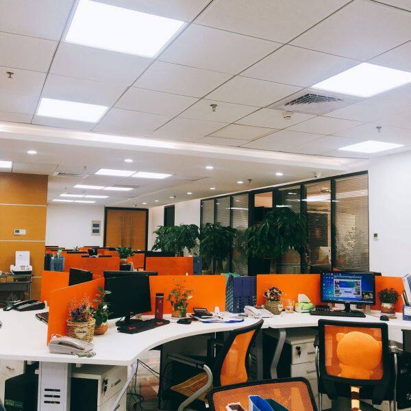 Amikon Limited company overview - view 3