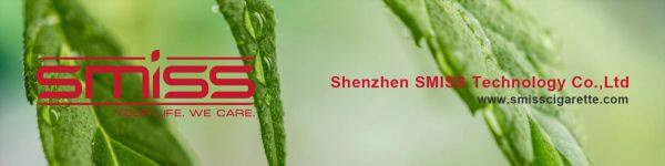 Shenzhen Smiss Technology Co.,LTD