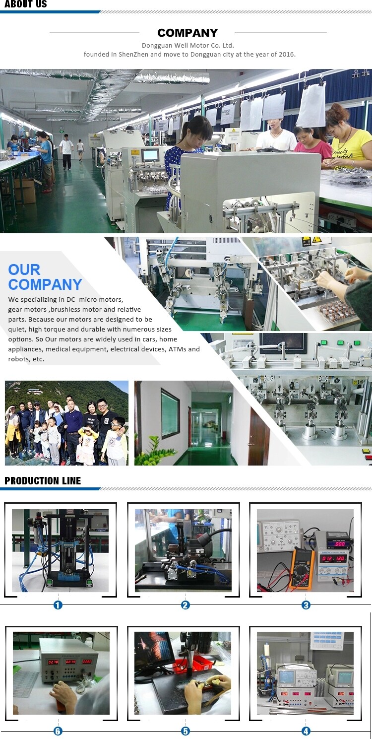 Dongguan Well Motor Co.Ltd company overview - view 1