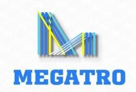 Qingdao Megatro Holding Co., Ltd.