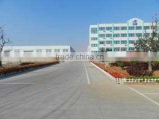 Shandong Xinli Environmental Protection Material Co., Ltd. company overview - view 3