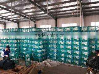 Qingdao Datao Fishing Tackle Co., Ltd. company overview - view 3
