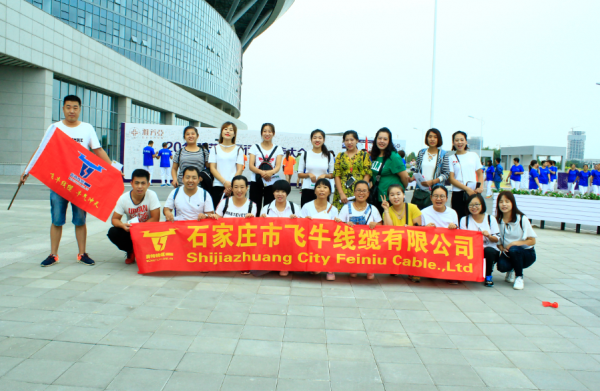 Shijiazhuang City Feiniu Cable Co.,ltd company overview - view 1