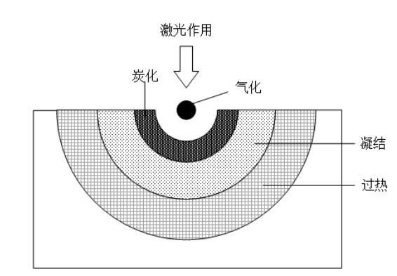 微信图片_20260310144239_403_490.png