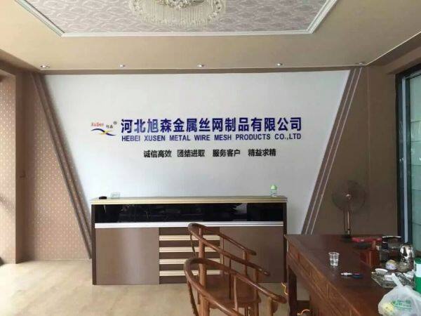 Hebei Xusen Metal Wire Mesh Product Co.,Ltd. company overview - view 1