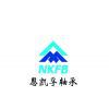 Linqing NKF Bearing Co.,Ltd