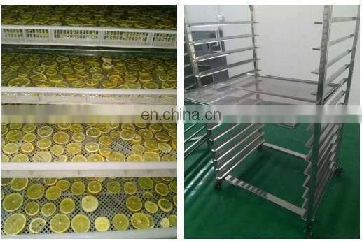 dehydrated fruit vegetable Dehydrator Dryer equipment hot air Big Capacity Commercial Industrial drying cabinet oven machine