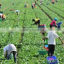 Anqiu Luda International Trade Co., Ltd. company overview - view 1