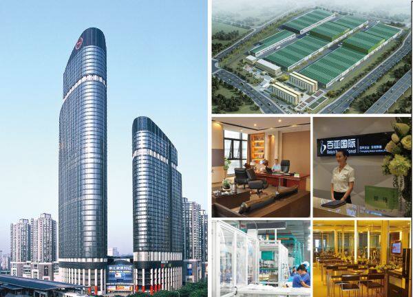 Baiya Corporation company overview - view 1