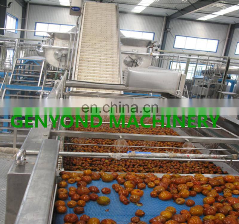 high quality dates molasses making machine