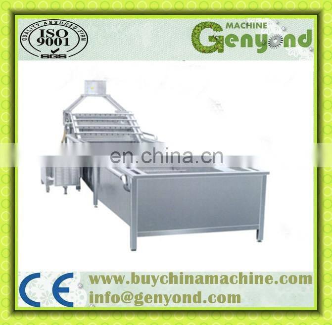 Commercial Vegetable Washer/Air Bubble Vegetable Washing Machine