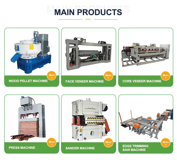 Linyi Sin San Lin Smart Machinery Co., Ltd company overview - view 1