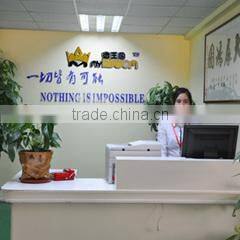 Shenzhen Magicking Electronic Co., Ltd. company overview - view 1