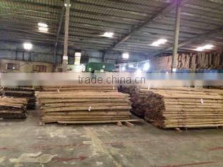 Truc Xuan Co.,ltd company overview - view 1