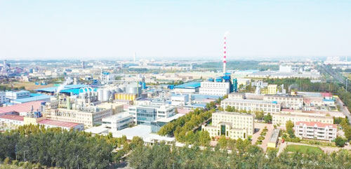 Shandong Fuyang Bio-tech.Co.,Ltd. company overview - view 3