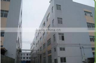 Foshan DSM Enterprise Ltd. company overview - view 1