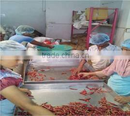 Cucku Enterprises Private Limited company overview - view 3