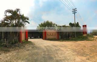Chaozhou Xiesheng Ceramics Factory company overview - view 1