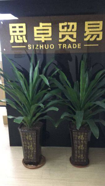 Guangzhou Sizhuo Trading Co.,Ltd. company overview - view 1