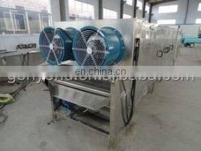 industrial raisin cleaning and sorting line / raisin processing machine