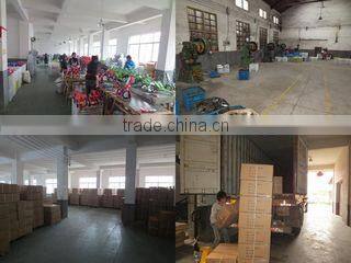 Yongkang Sun Color Industry And Trade Co., Ltd. company overview - view 2