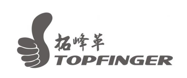 Topfinger Equipment (Shenzhen) Co., Ltd.