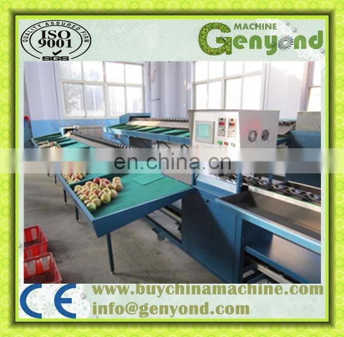 Blueberry Sorting Machine Cherry Orange Grading Machine