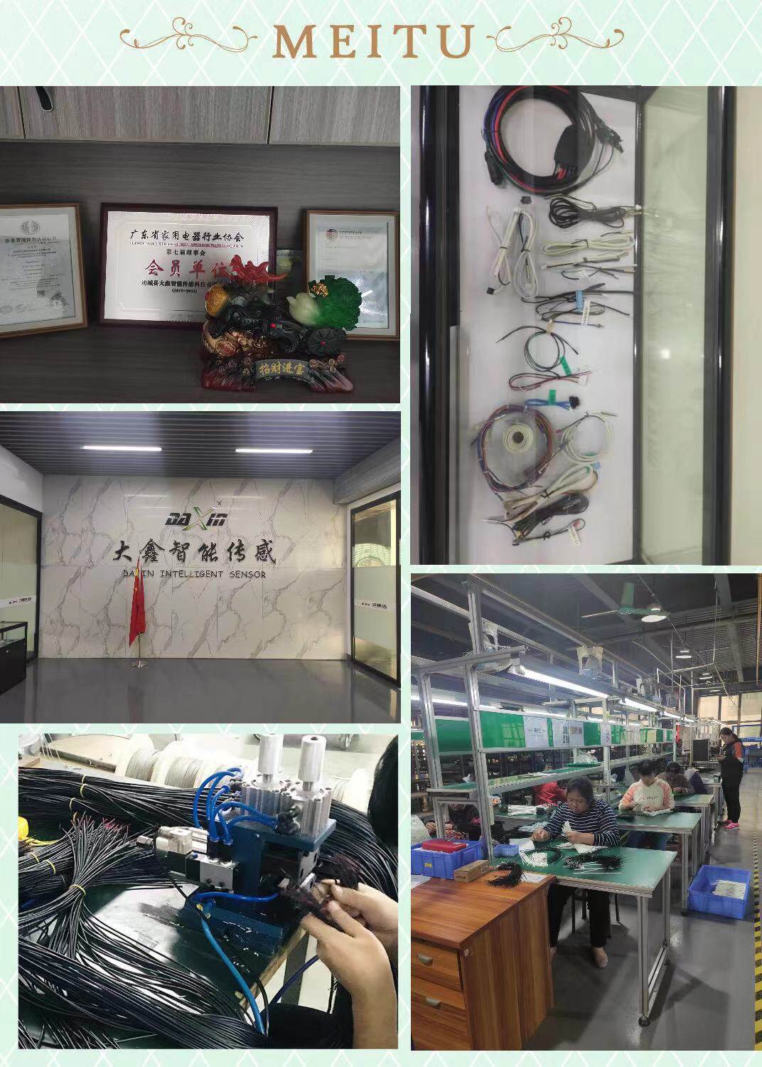 TongCheng DaXin Sensor Technology Co., Ltd company overview - view 3