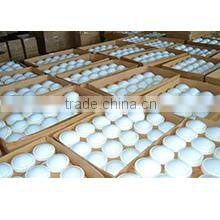 Dongguan City Zhiyu Electronic Co., Ltd. company overview - view 3