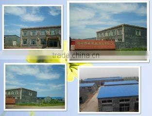 Botou Xucheng Machinofacture Co., Ltd. company overview - view 1