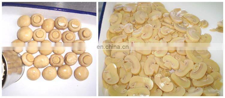 commercial small pickled cucumber processing equipment