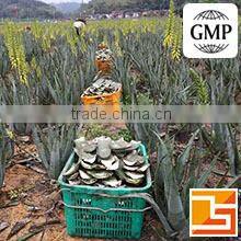 Xi'an Zenlab Solution Company Limited company overview - view 3