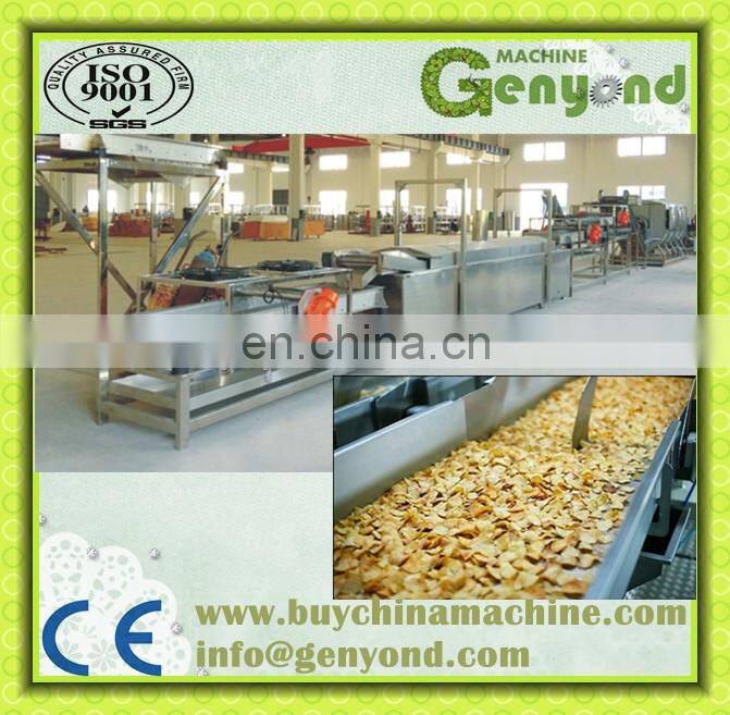 Automatic Potato Chips processing plant